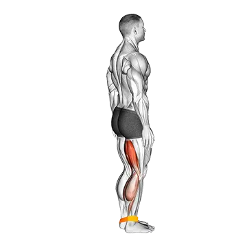 Best Resistance Band Leg Workouts Resistance Band Leg Curl