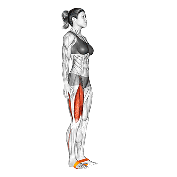 Best Resistance Band Ab Workouts Resistance Band Leg Lift