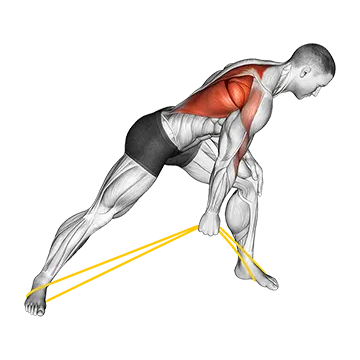 Resistance Band One Arm Bent Over Row
