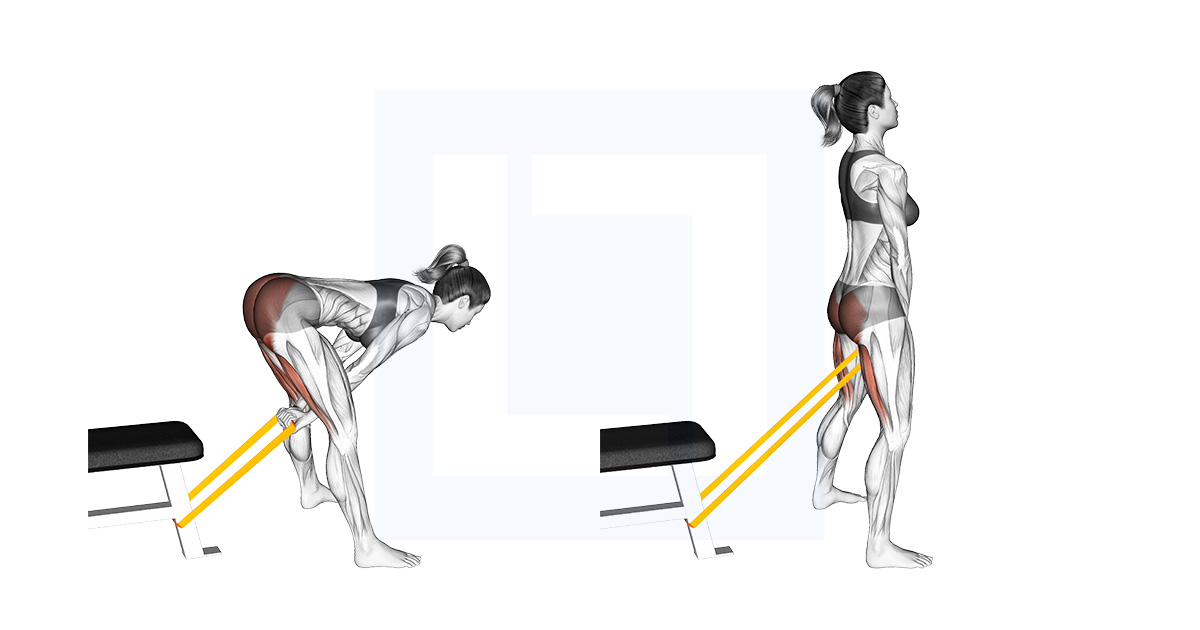 Superman Exercise Guide Benefits And Form