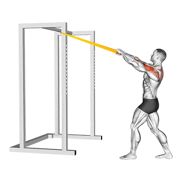 Best Resistance Band Back Workouts Resistance Band Rear Delt Row