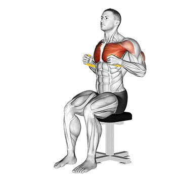 Resistance Band Seated Chest Press