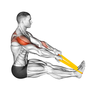 Resistance Band Seated Face Pull