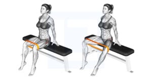 Resistance Band Seated Hip Abduction - Guide, Benefits, and Form