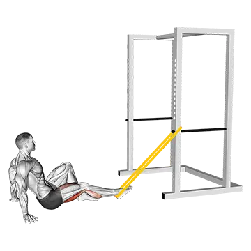 Resistance Band Seated Single Leg Curl