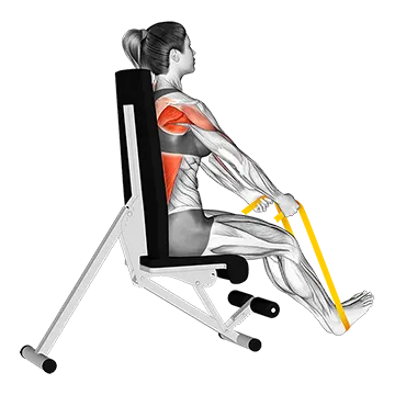 Resistance Band Seated Straight Back Row