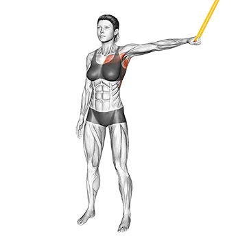 Best Resistance Band Back Workouts Resistance Band Shoulder Adduction