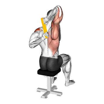 Resistance Band Shoulder Stretch Behind the Back