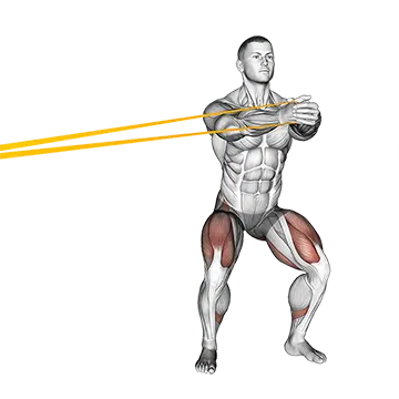 Resistance Band Side Step With Horizontal Pallof Hold