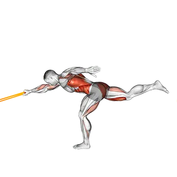 Resistance Band Single Stiff Leg Deadlift With Single Arm Row