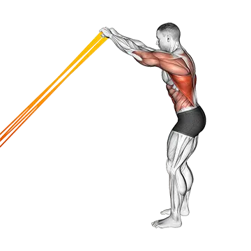Best Upper Body Resistance Band Workouts Resistance Band Skier