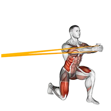 Resistance Band Split Squat With Horizontal Pallof Hold