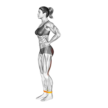 Resistance Band Standing Balance Glute Kickback