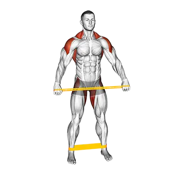 Resistance Band Standing Down Warming Up