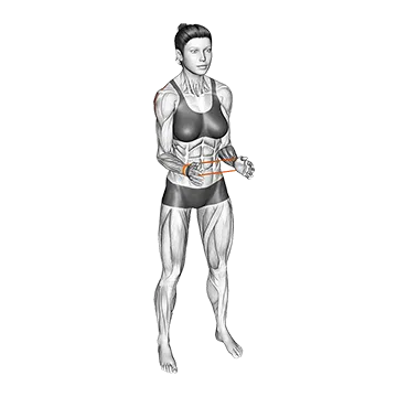 Resistance Band Standing External Rotation