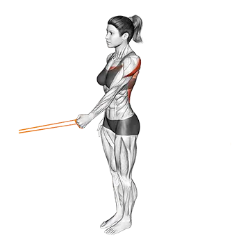 Resistance Band Standing Single Arm Lateral Shoulder Extension