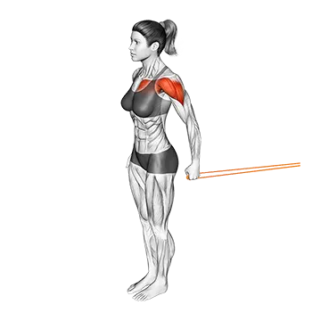 Resistance Band Standing Single Arm Shoulder Flexion
