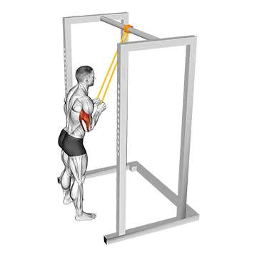 Best Resistance Band Workouts Resistance Band Triceps Pushdown