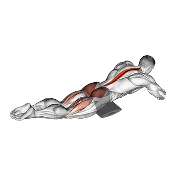 Reverse Back Extension on Floor