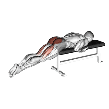 Best Bodyweight Lower Back Workouts Reverse Hyper On Flat Bench