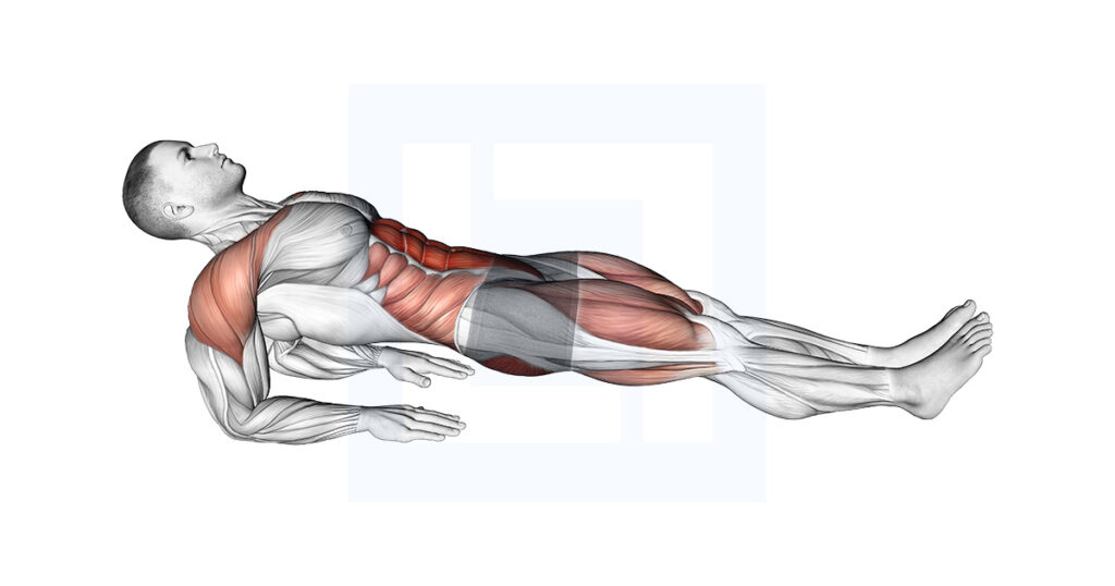 Reverse Plank On Elbows Forearm Reverse Plank Reverse Plank On Elbows Forearm Reverse Plank