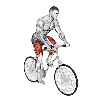 Riding Outdoor Bicycle