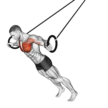 Best Trx Workouts Ring Chest Fly