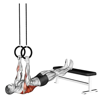 Best Bodyweight Lat Workouts Ring Elevated Row