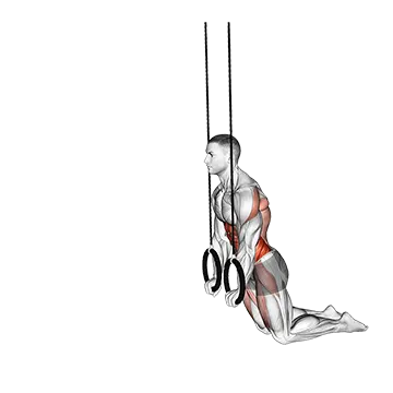 Ring Kneeling Ab Rollout