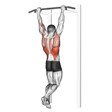 Rocky Pull Up Pulldown