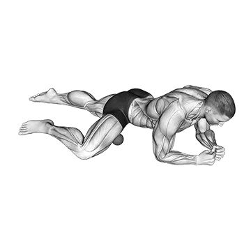 Best Massage Ball Recovery Workouts Roll Ball Adductors