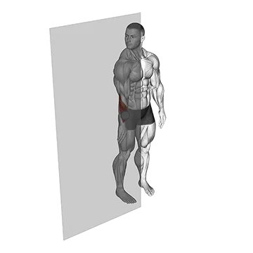 Roll Ball Forearm Extensors