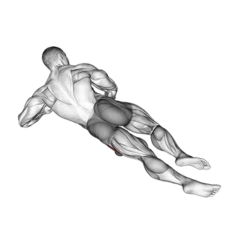 Best Quad Stretches Roll Ball Lateral Vastus