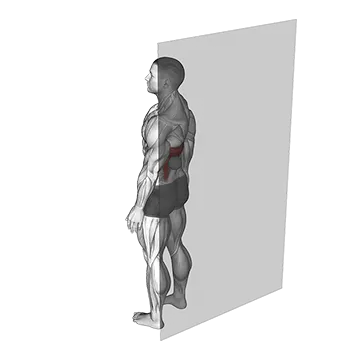 Roll Ball Latissimus Dorsi