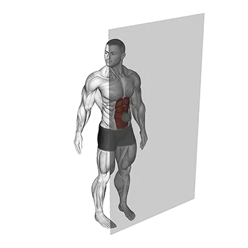 Roll Ball Rectus Abdominis