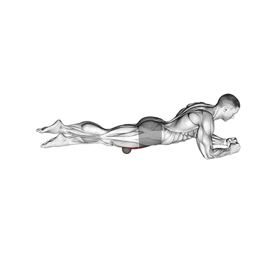 Best Quad Stretches Roll Ball Rectus Femoris