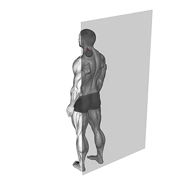Roll Ball Scapula Levator