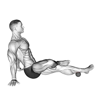 Roll Ball Tibialis Posterior