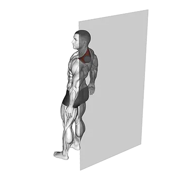 Roll Ball Trapezius Upper