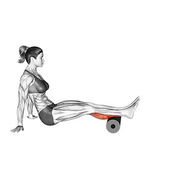 How To Grow Your Calves Roll Calves