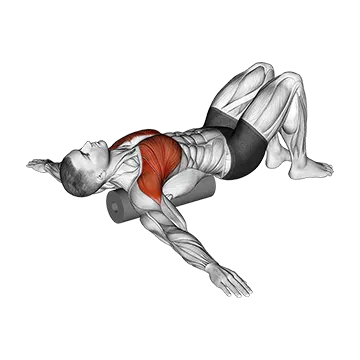 Roll Chest Opener Lying on Floor
