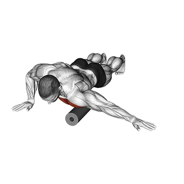 Roll Front Shoulder and Chest Lying on Floor