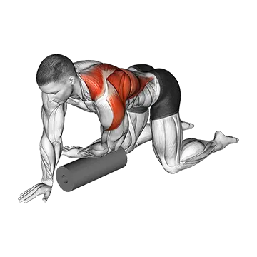 Best Foam Roller Exercises Roll Kneeling Upper Back Rotation