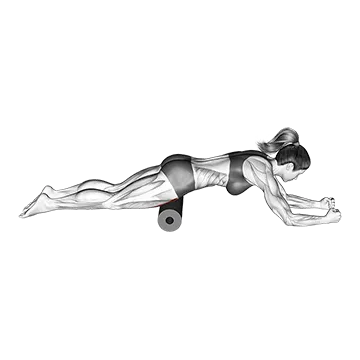 Best Quad Stretches Roll Rectus Femoris