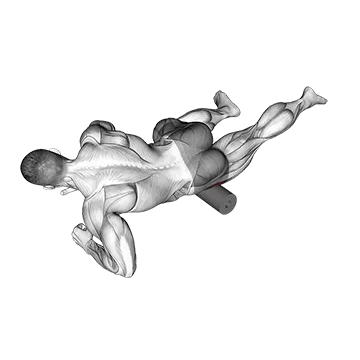 Roll Tensor Fasciae Latae