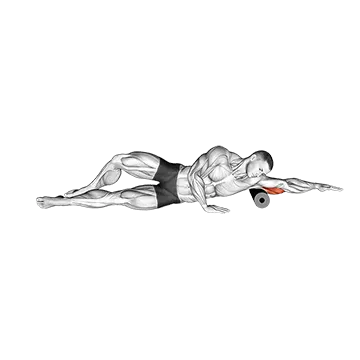 Roll Triceps Side Lying on Floor