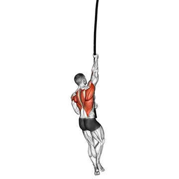 Best Wrestling Workouts Rope Climb