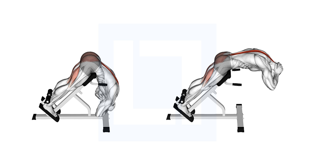 Back Extension