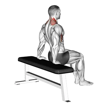 Best Bodyweight Trap Workouts Scapula Dips