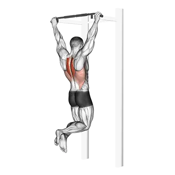 How To Fix Neck Tightness Scapular Pull Up